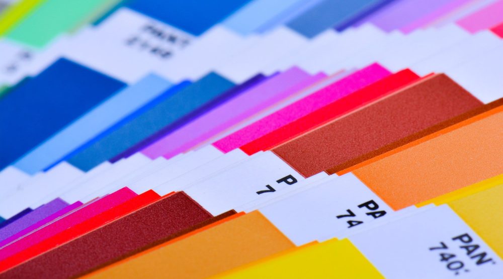 Color Palette Guide Close Up. Colorful Swatch Catalog